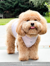 Load image into Gallery viewer, Reversible Puffer Vest - Lilac/Grey