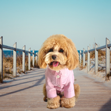 Load image into Gallery viewer, Tailored Shirt - Pink