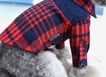 Load image into Gallery viewer, Barstow Check Shirt