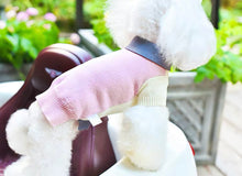 Load image into Gallery viewer, Tri-coloured Polo- Grey/ Pink