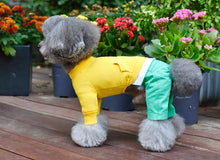 Load image into Gallery viewer, Sweater Body Suit - Yellow Green