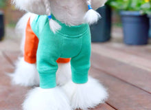 Load image into Gallery viewer, Sweater Body Suit - Green Orange