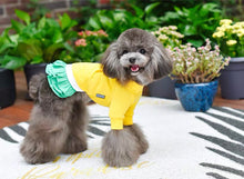 Load image into Gallery viewer, Sweater Dress - Green Orange