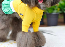 Load image into Gallery viewer, Sweater Dress - Yellow Green