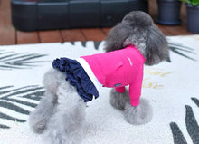 Load image into Gallery viewer, Sweater Dress - Pink Navy