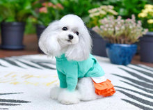 Load image into Gallery viewer, Sweater Dress - Green Orange