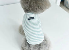 Load image into Gallery viewer, Ribbed Tee - Blue