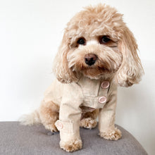 Load image into Gallery viewer, D Ring Jacket - Speckled Nude