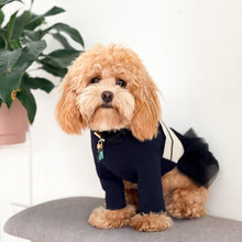 Load image into Gallery viewer, Ballet Tutu