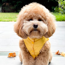 Load image into Gallery viewer, Reversible Puffer Vest - Tangerine/ Lemon