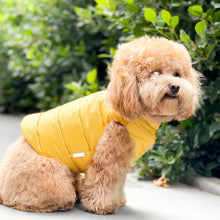 Load image into Gallery viewer, Reversible Puffer Vest - Tangerine/ Lemon