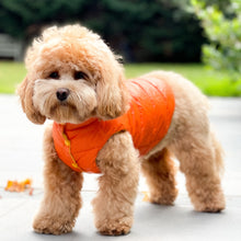 Load image into Gallery viewer, Reversible Puffer Vest - Tangerine/ Lemon