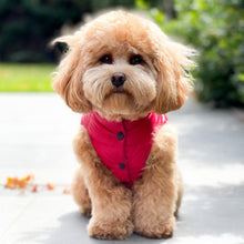 Load image into Gallery viewer, Reversible Puffer Vest - Red/Deep Navy