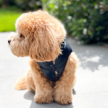 Load image into Gallery viewer, Reversible Puffer Vest - Red/Deep Navy