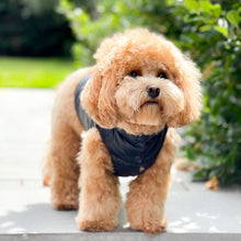 Load image into Gallery viewer, Reversible Puffer Vest - Red/Deep Navy