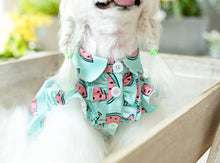 Load image into Gallery viewer, Watermelon Shirt Dress