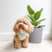 Load image into Gallery viewer, Interchangeable wool set - Lime Sherbet