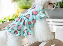 Load image into Gallery viewer, Watermelon Shirt Dress
