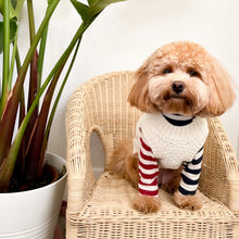 Load image into Gallery viewer, Stripe Skivvy - Red/White Body