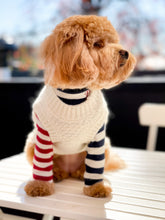 Load image into Gallery viewer, Stripe Skivvy - Navy/White Body