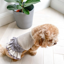 Load image into Gallery viewer, Vegan PU Skirt