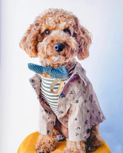 Load image into Gallery viewer, Full of Stars Jacket
