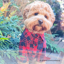 Load image into Gallery viewer, Barstow Check Shirt