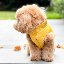 Load image into Gallery viewer, Reversible Puffer Vest - Tangerine/ Lemon
